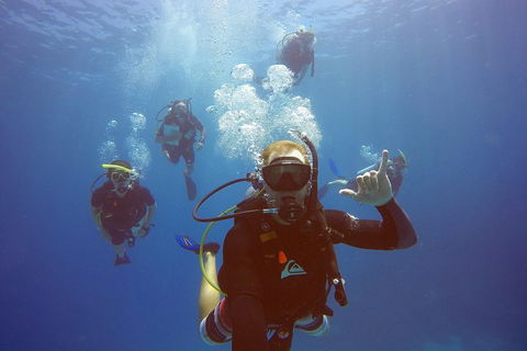 12-Day Great Barrier Reef Marine Conservation Program From Cairns - Broome Tourism 0