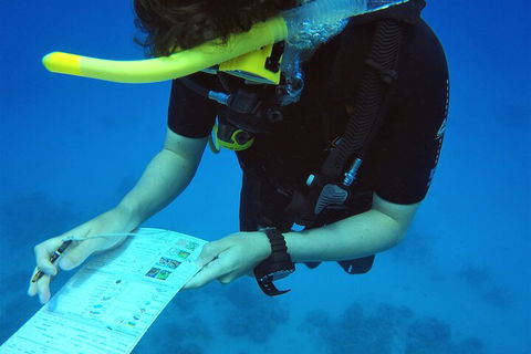 12-Day Great Barrier Reef Marine Conservation Program From Cairns - Broome Tourism 2