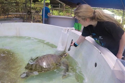 12-Day Great Barrier Reef Marine Conservation Program From Cairns - Broome Tourism 4