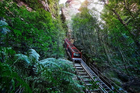 Blue Mountains Private Tour With Kangaroos & Koala Encounter - Broome Tourism 1