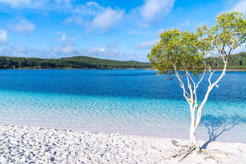 Lake McKenzie Full-Day Tour With Lunch From Hervey Bay - Broome Tourism 1