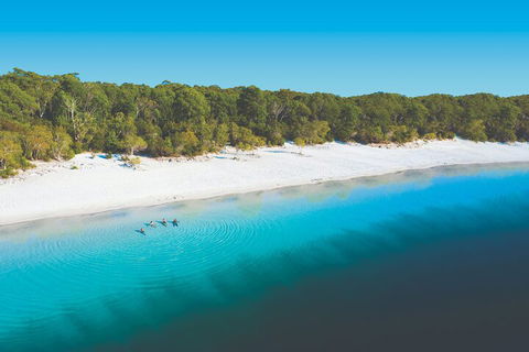 Lake McKenzie Full-Day Tour With Lunch From Hervey Bay - Broome Tourism 4