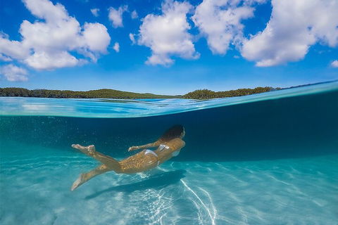 Lake McKenzie Full-Day Tour With Lunch From Hervey Bay - Broome Tourism 5