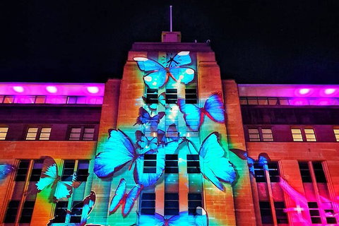 Vivid 90-Minute Sydney Harbour Small Group Catamaran Cruise - Broome Tourism 0