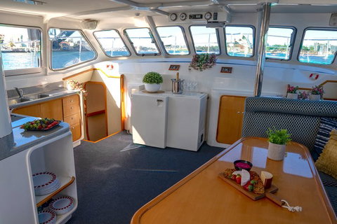 Vivid 90-Minute Sydney Harbour Small Group Catamaran Cruise - Broome Tourism 5