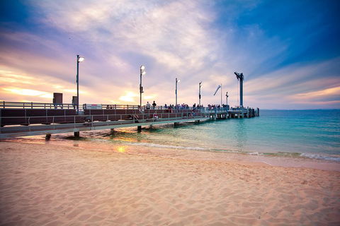 Tangalooma Island Resort Whale Watching Day Cruise With Dolphin Viewing - Broome Tourism 3