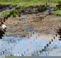 Darwin to Kakadu Day Trip by Air Including Yellow Water Cruise - Broome Tourism