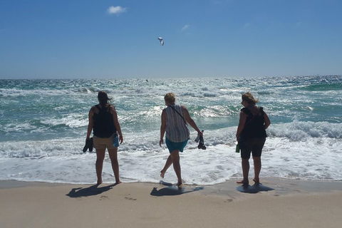 Very Best Of Perth Tour - Wildlife Park & City Highlights Tour - Broome Tourism 5