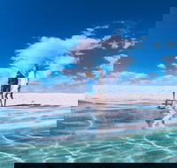 4-Day Coastal Loop via Monkey Mia Wild Dolphins Kalbarri Pinnacles Perth Return - Broome Tourism