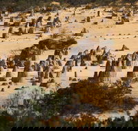 Pinnacles Sunset Dinner and Stargazing Experience a Small Group Tour - Broome Tourism