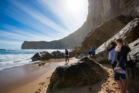 12 Apostles Eco-Friendly Great Ocean Road Iconic Adventure From Melbourne - Broome Tourism 2