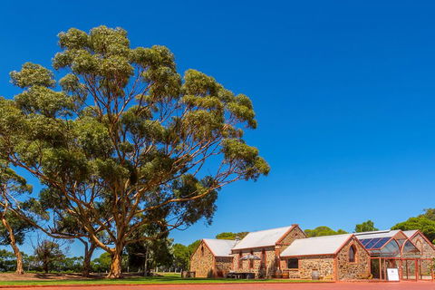 McLaren Vale And Glenelg Wine Tasting And Sightseeing (Half-day Afternoon) - Broome Tourism 5