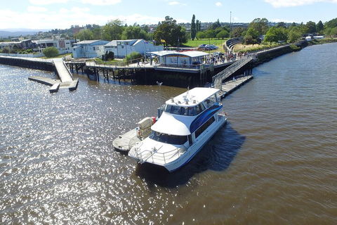 2.5 Hour Morning Discovery Cruise Including Sailing Into The Cataract Gorge - Broome Tourism 3