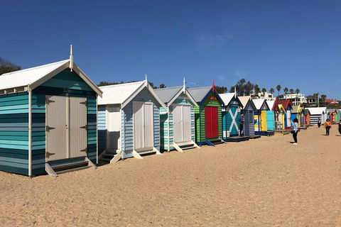 Phillip Island Penguin Parade, Brighton Bathing Boxes And Wildlife Park Tour - Broome Tourism 3