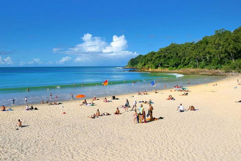 Noosa Everglades Serenity Cruise & Highlights Tour Inc. Lunch & Cruise - Broome Tourism 4