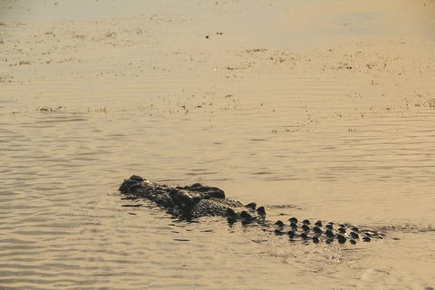 Yellow Water Cruise - Kakadu - Broome Tourism 2