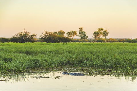 Yellow Water Cruise - Kakadu - Broome Tourism 3