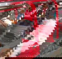 Blue Mountains Private Tour with Wildlife Park and River Cruise - Broome Tourism