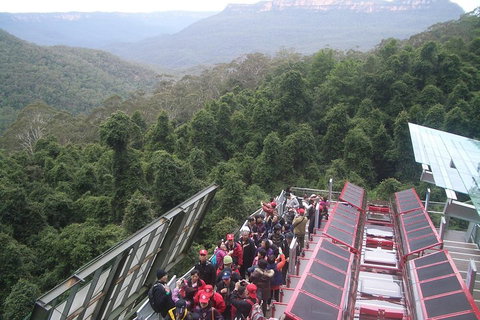 Blue Mountains Private Tour With Wildlife Park And River Cruise - Broome Tourism 1