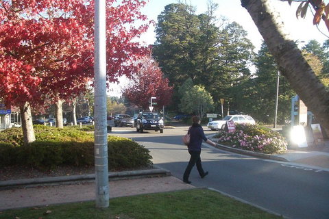 PRIVATE All-Day Blue Mountains Tour With Professional Guide For Up To 4 People - Broome Tourism 1