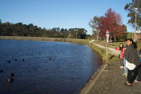 PRIVATE All-Day Blue Mountains Tour With Professional Guide For Up To 4 People - Broome Tourism 2