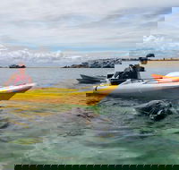 Seal Island and Penguin Island or Point Peron Sea Kayak Tour - Broome Tourism