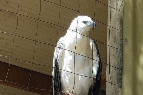 Phillip Island Penguin And Wildlife Tour - Broome Tourism 5