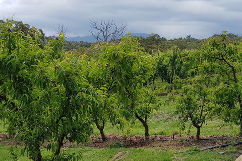 Yarra Valley Wineries And Rayners Orchard Tour From Melbourne - Broome Tourism 2