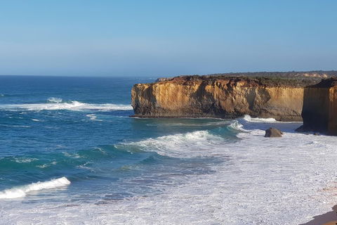 12 Apostles And Otway Fly Zipline Day Trip From Melbourne - Broome Tourism 4