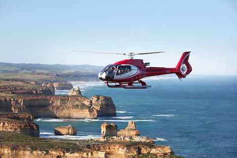 12 Apostles And Otway Fly Zipline Day Trip From Melbourne - Broome Tourism 5