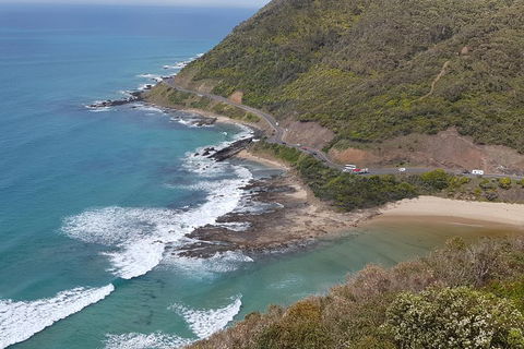 2 Day Great Ocean Road Tour And Platypus Paddle - Broome Tourism 2