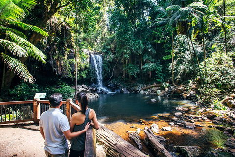 Aquaduck & Your Choice Of Gold Coast Rainforest Tour - Broome Tourism 0