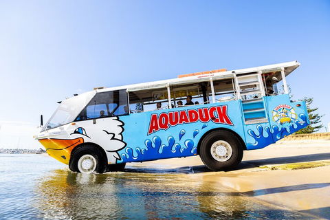 Aquaduck & Your Choice Of Gold Coast Rainforest Tour - Broome Tourism 3
