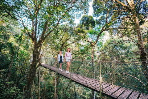 Aquaduck & Your Choice Of Gold Coast Rainforest Tour - Broome Tourism 4