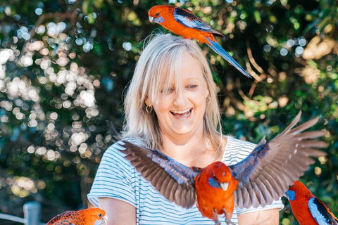 Aquaduck & Your Choice Of Gold Coast Rainforest Tour - Broome Tourism 5
