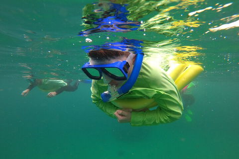 Manly Snorkel Trip And Nature Walk With Local Guide - Broome Tourism 5