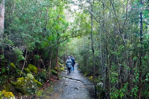 Kunanyi/Mt Wellington Tour & Hobart Hop-On Hop-Off Bus - Broome Tourism 1