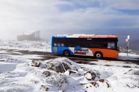 Kunanyi/Mt Wellington Tour & Hobart Hop-On Hop-Off Bus - Broome Tourism 2