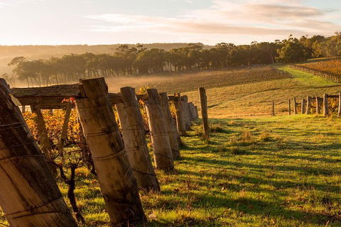 The All About Margaret River Tour: Wine, Coffee, Lunch And Forest - Broome Tourism 5