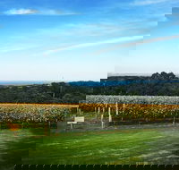 Yarra Valley Private Car Winery Tour And Chocolate.1-7 Passengers One Car Price - Broome Tourism