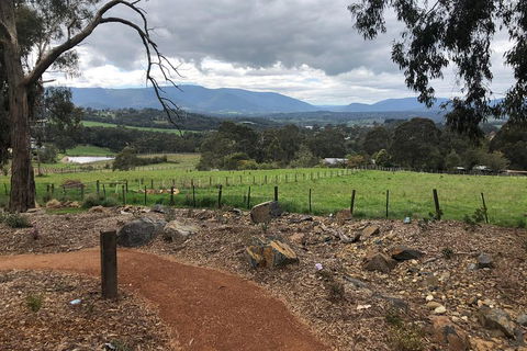 Yarra Valley Wine Tour Inc Lunch With A Glass Of Wine, Tastings And Chocolate - Broome Tourism 0