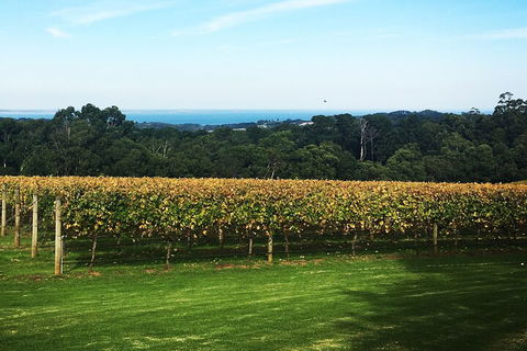 Yarra Valley Wine Tour Inc Lunch With A Glass Of Wine, Tastings And Chocolate - Broome Tourism 2