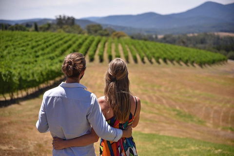 Yarra Valley Wine, Bubbles And Gin Tour! - Broome Tourism 4