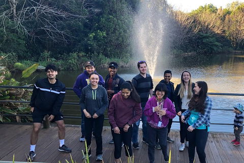 Natural Bridge, Skywalk And Mt Tamborine Adventure! - Broome Tourism 4