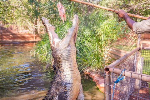 Malcolm Douglas Crocodile Park Tour Including Transportation - Broome Tourism 5