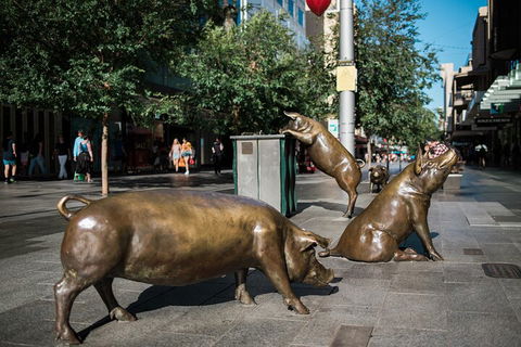 Guided Walking Tour In Adelaide - Broome Tourism 4