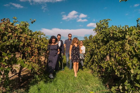 Barossa Valley Private Tour (from 2 To 11 People) - Broome Tourism 0