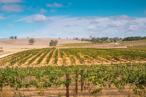 Barossa Valley Private Tour (from 2 To 11 People) - Broome Tourism 2