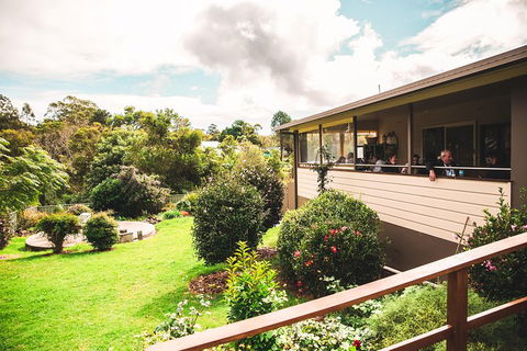 Full-day Springbrook National Park Tour From The Gold Coast - Broome Tourism 2
