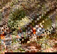 Half-Day Yanchep Ghost House Wilderness Guided Hike Tour - Broome Tourism